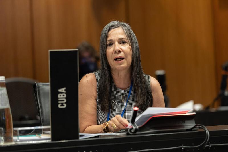 Intervention by H.E. Mirta Granda Averhoff, Ambassador and Permanent Representative of Cuba. Photo: WFP/Massimo Tartaglia