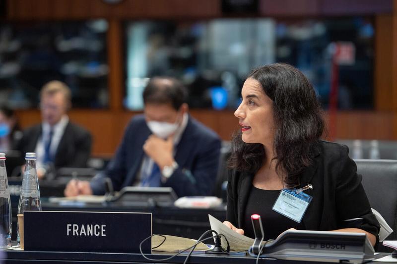 Update on Food Procurement  Intervention by  H.E. Ms. Celine Jurgensen of France.  Photo: Rein Skullerud