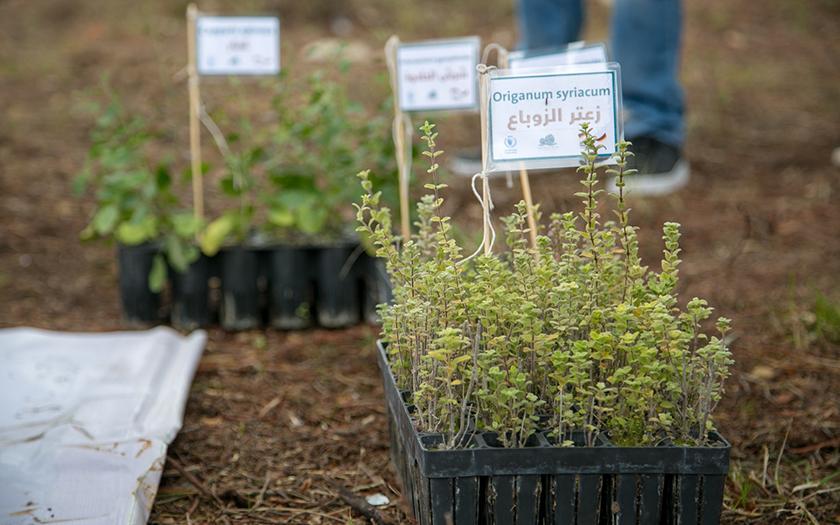 Executive Board Field Visit in Turkey and Lebanon